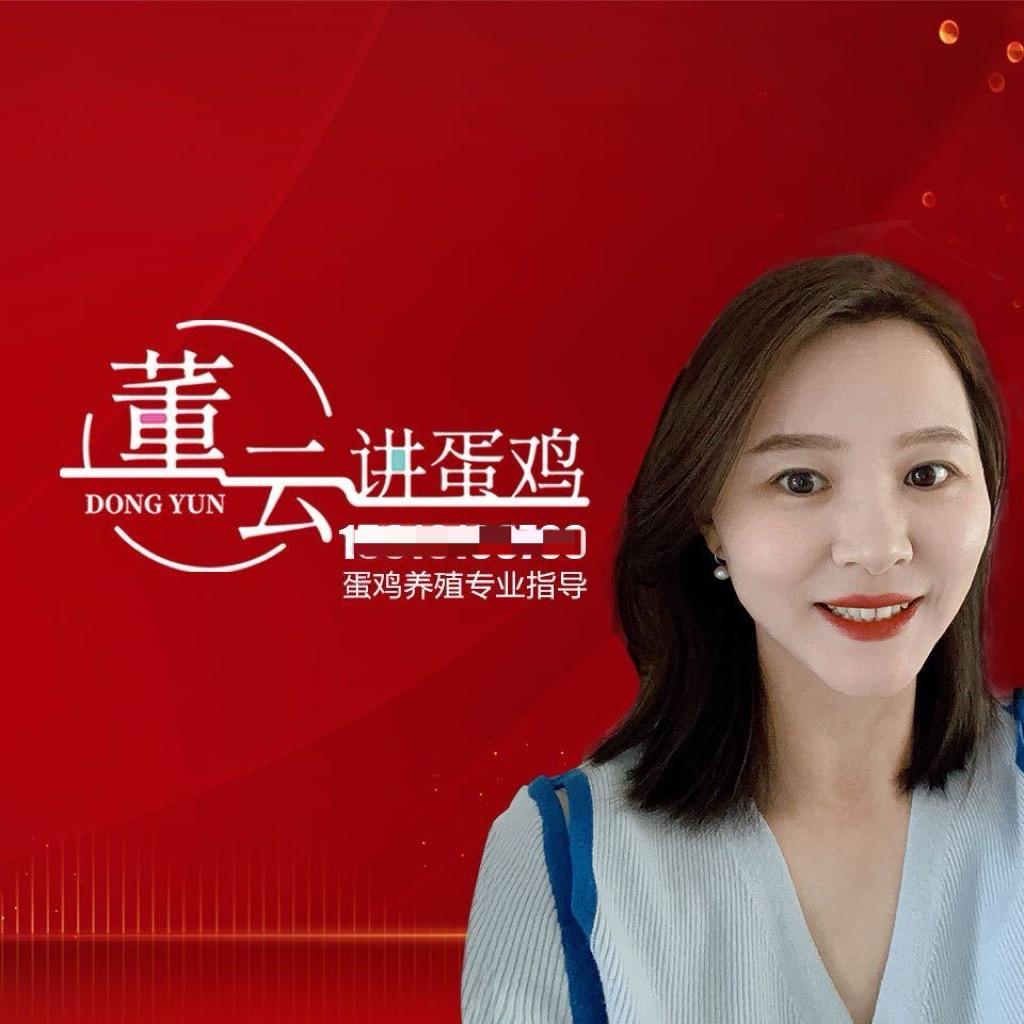 董云讲蛋鸡刘彩霞