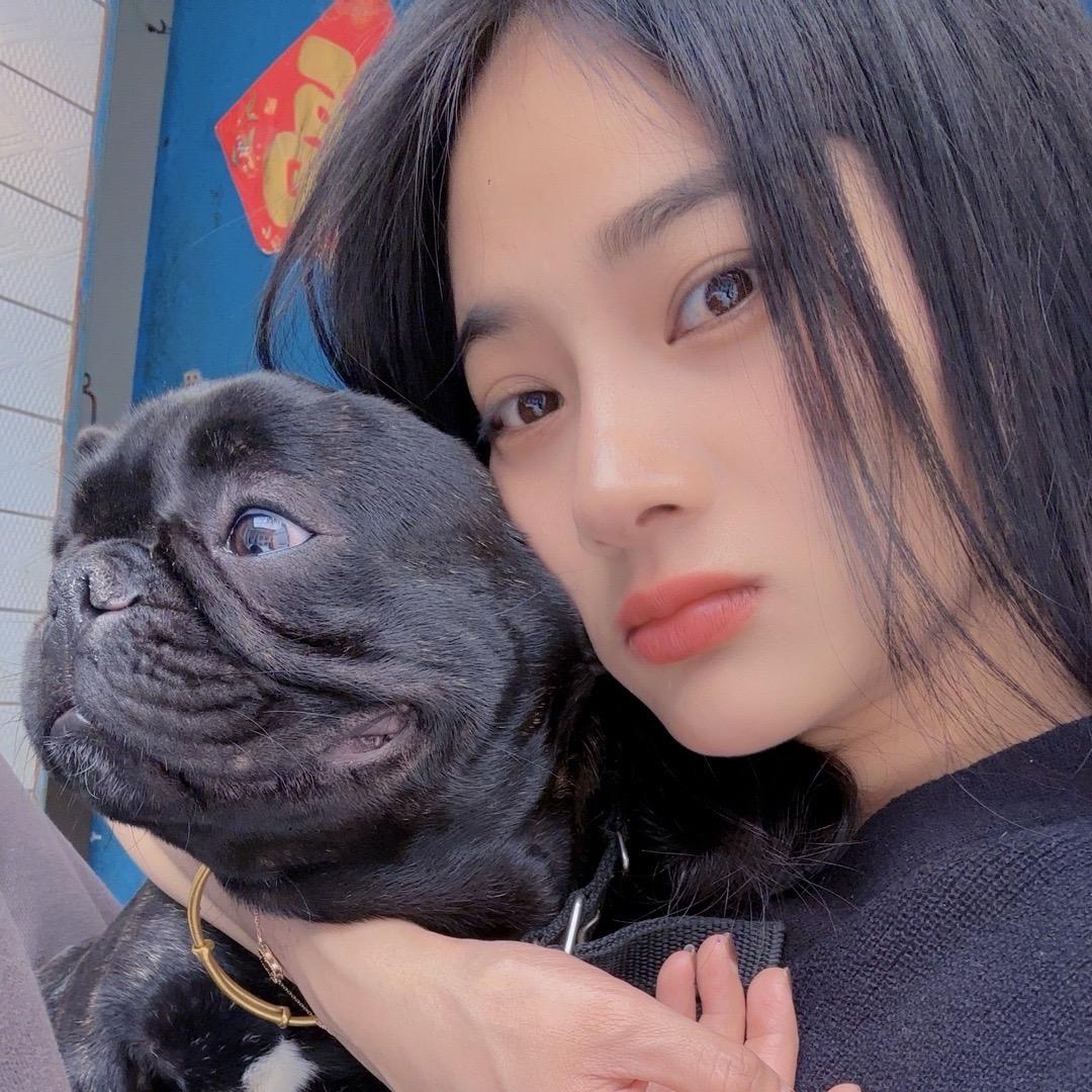 贝贝【11】比熊小糯米