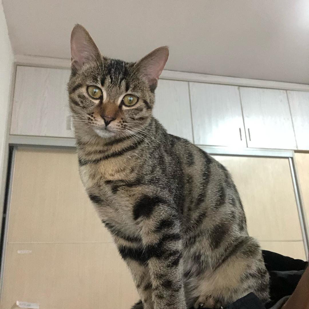 尼克说漫