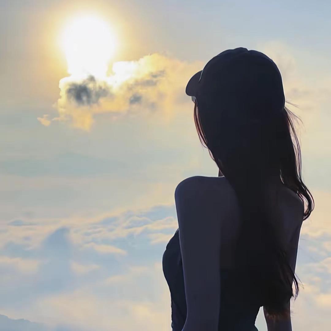 海棠花