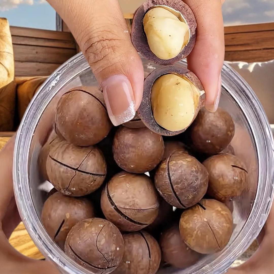 云云好物-夏威夷果