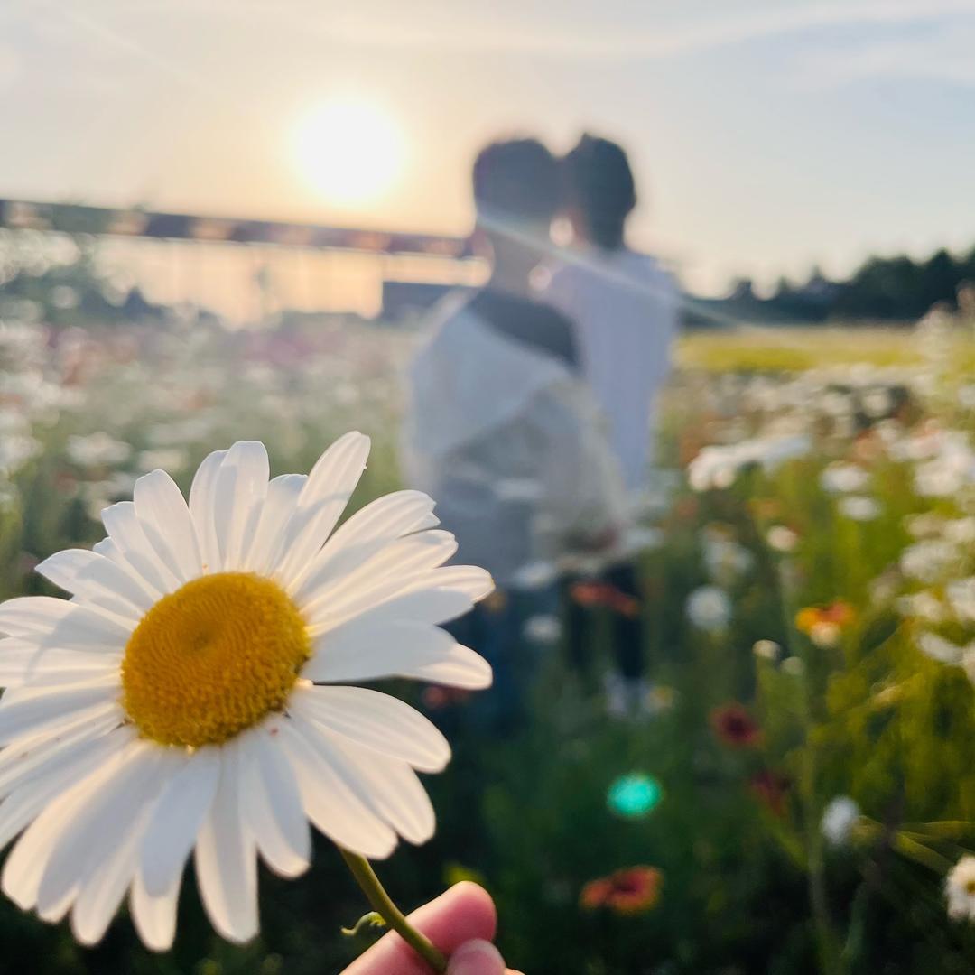 🌼小阿雨🌼