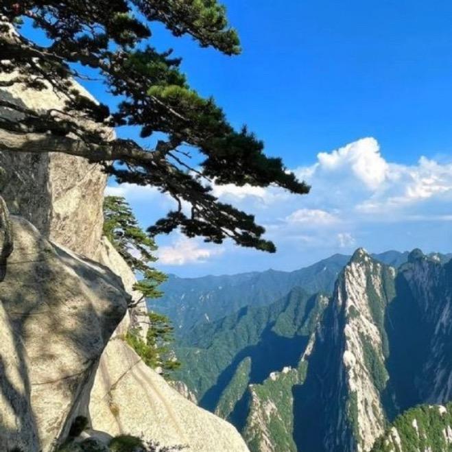 眺望远山