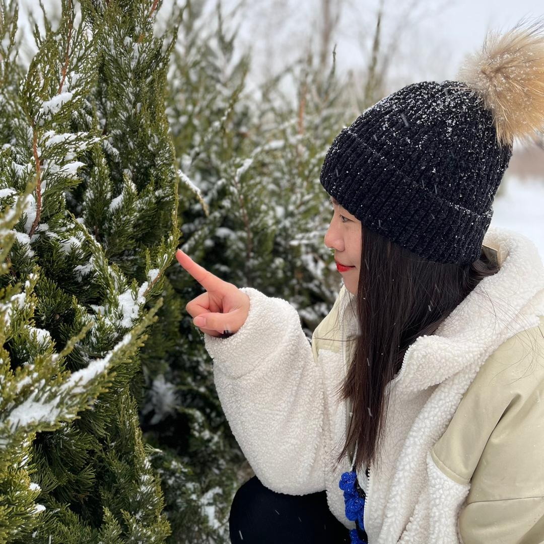 北齐宝贵的玉米