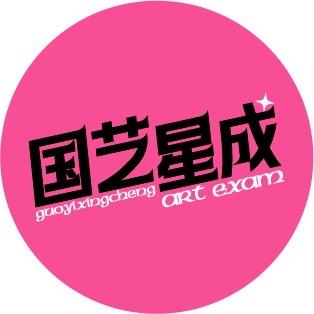西安国艺星成