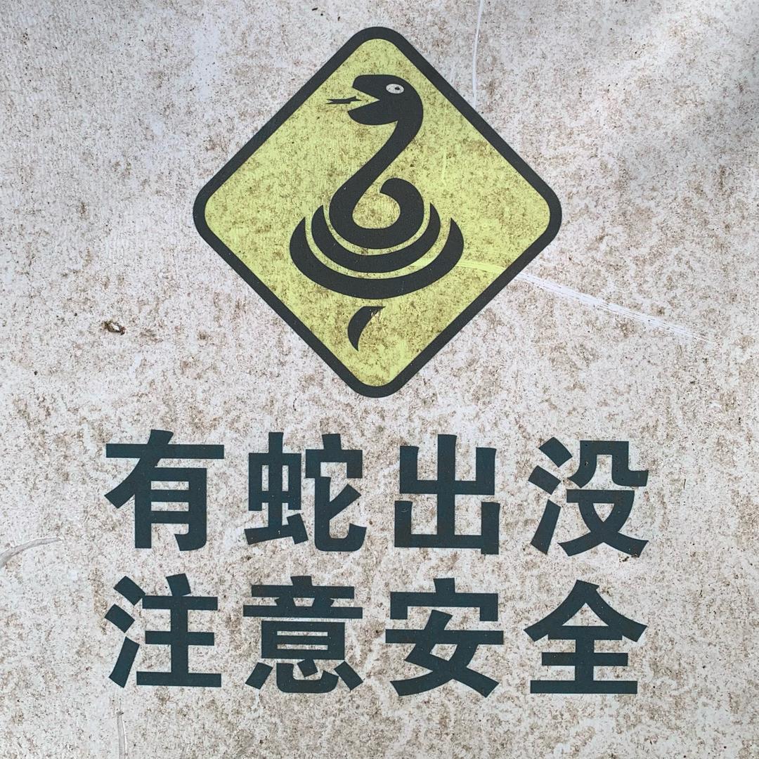 舞步🐍