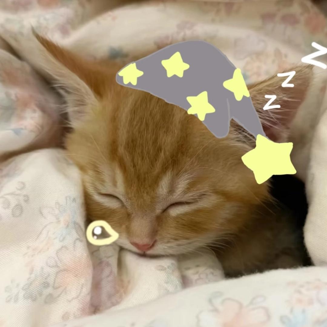 涵ovo