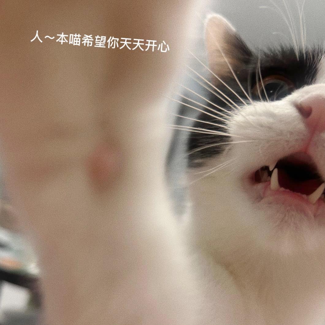 法力无边牛胸口