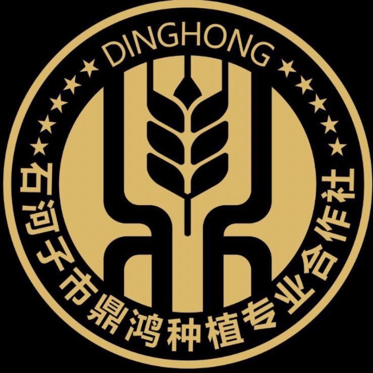 鼎鸿种植（论道）