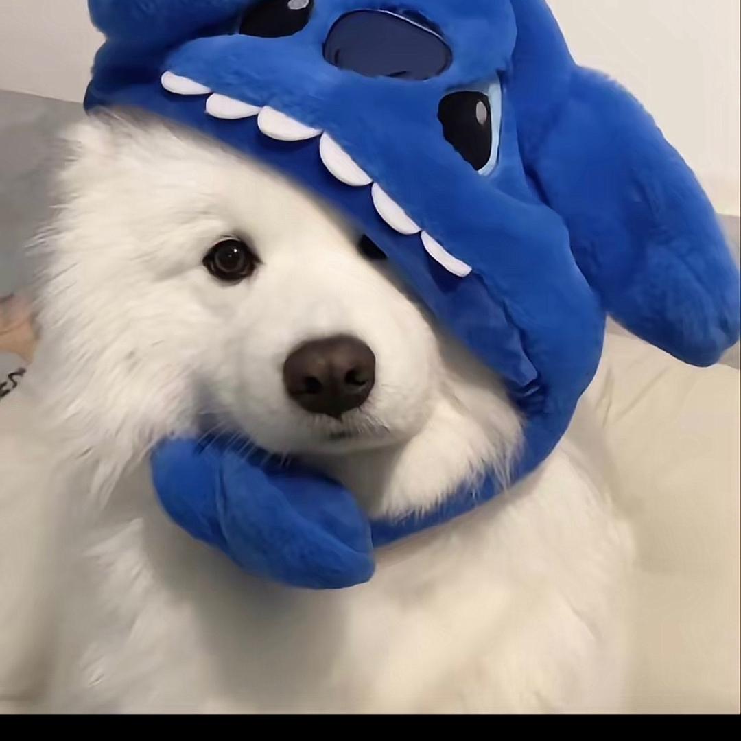 超能小狗GO！