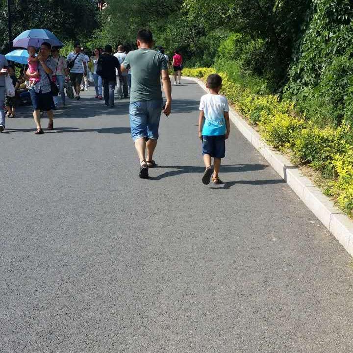 顺其自然