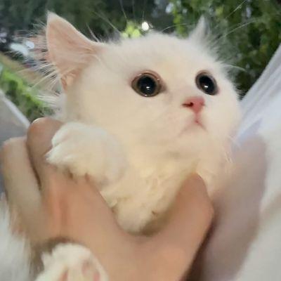 真好丶