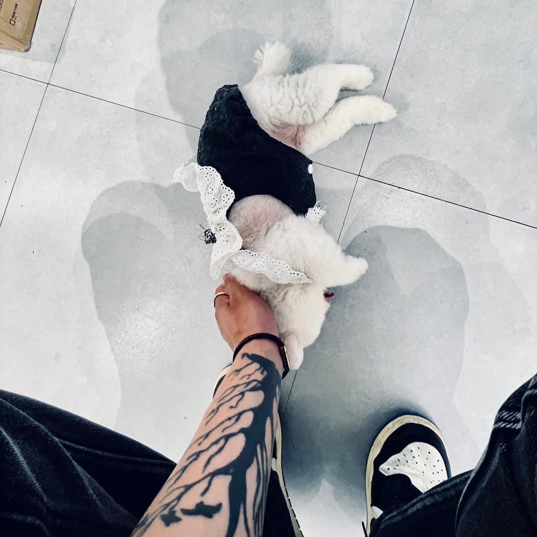暴躁的小新