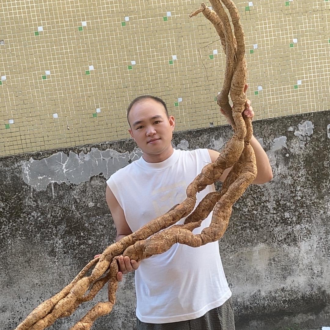 大岗岭深山农产品