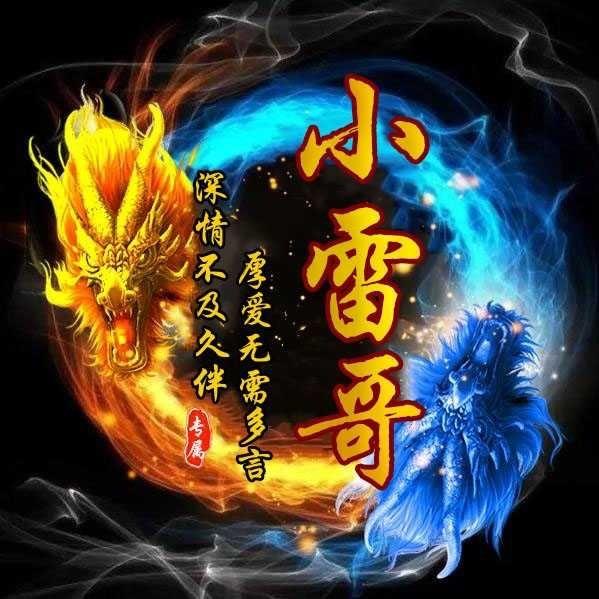 小雷哥