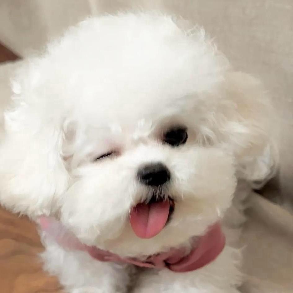 叫我曼曼呀