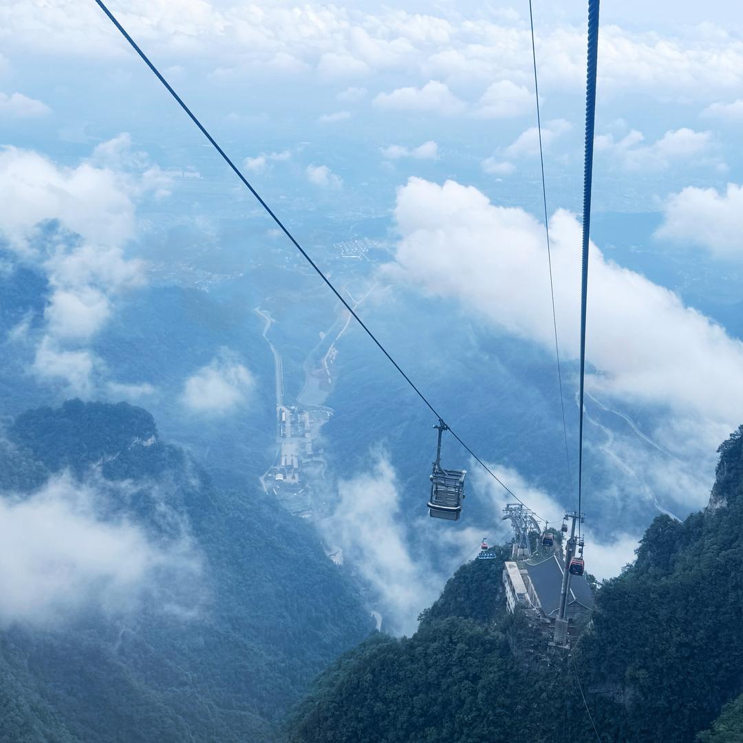 该去码头整点薯条