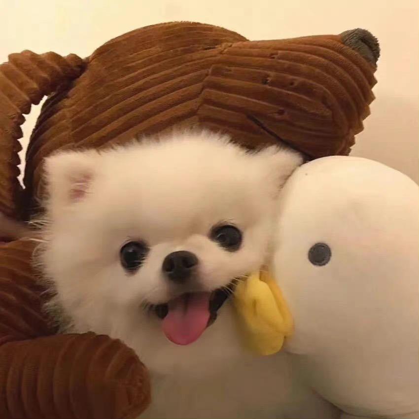 鱼富贵
