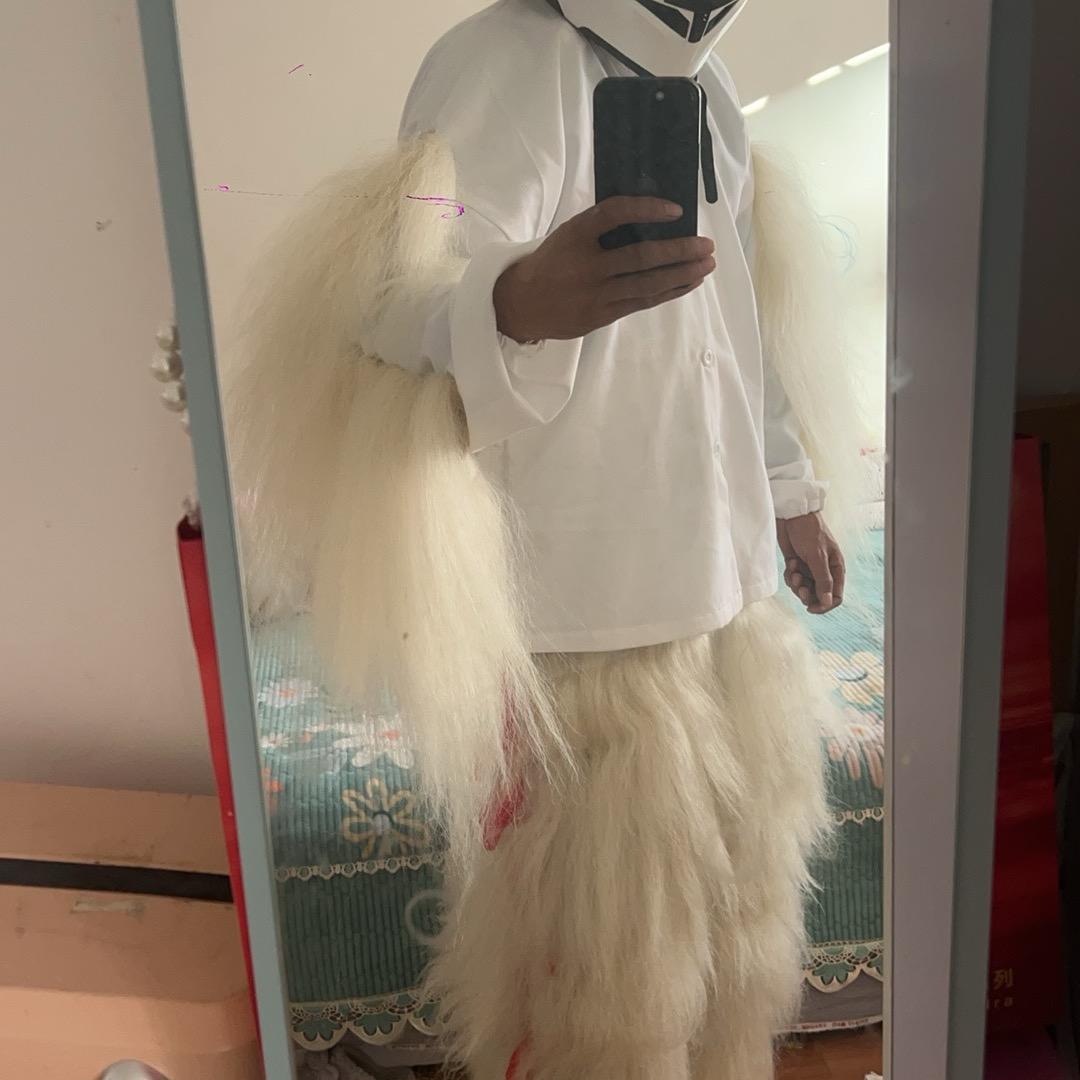 陕北神木网红小白狮