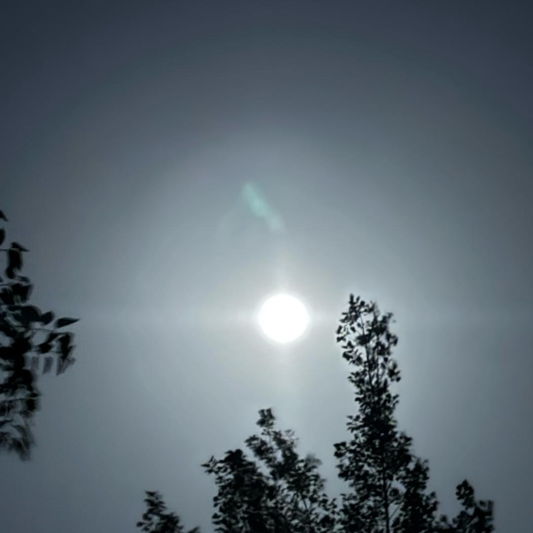 杨三秒《吃鸡大队》