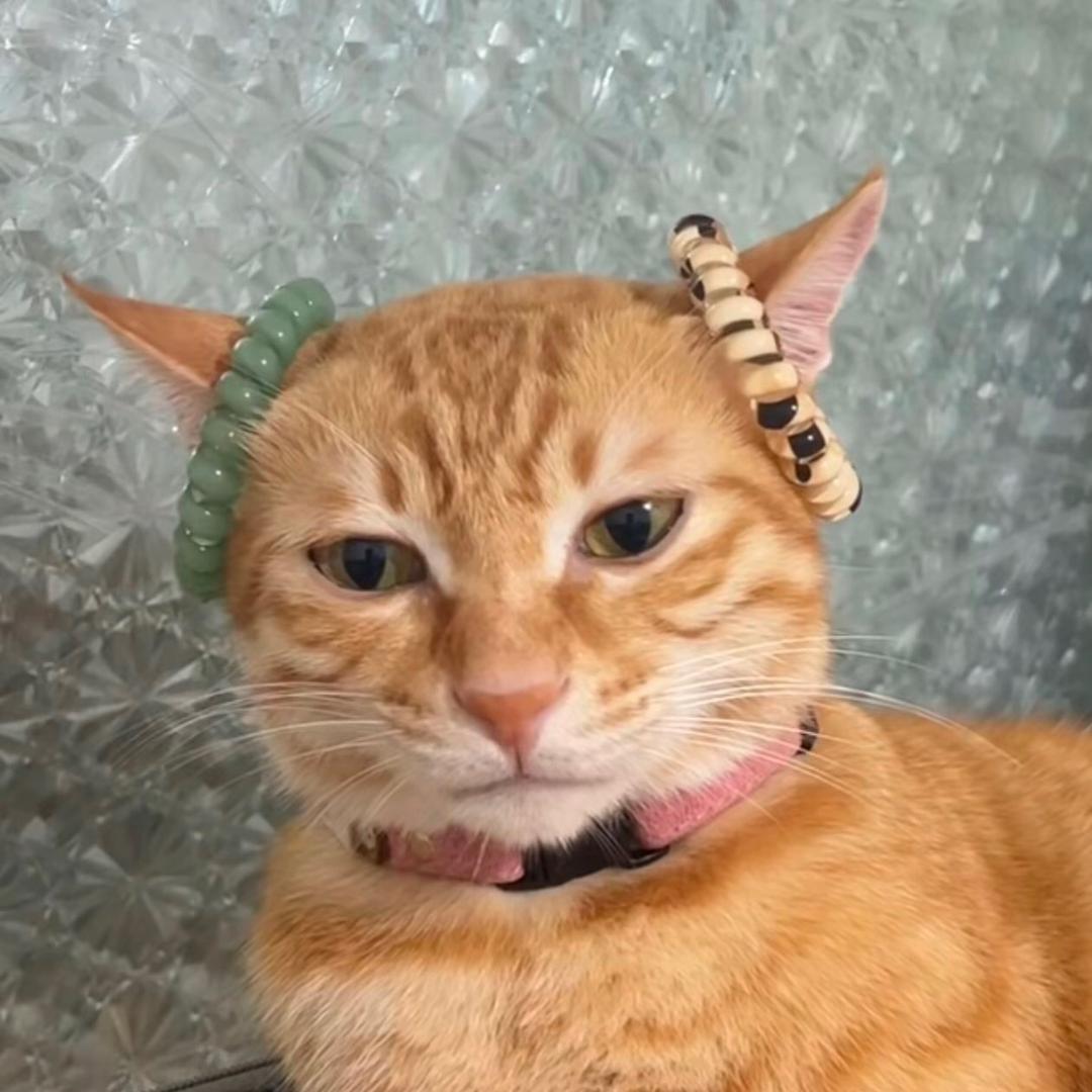财来财来