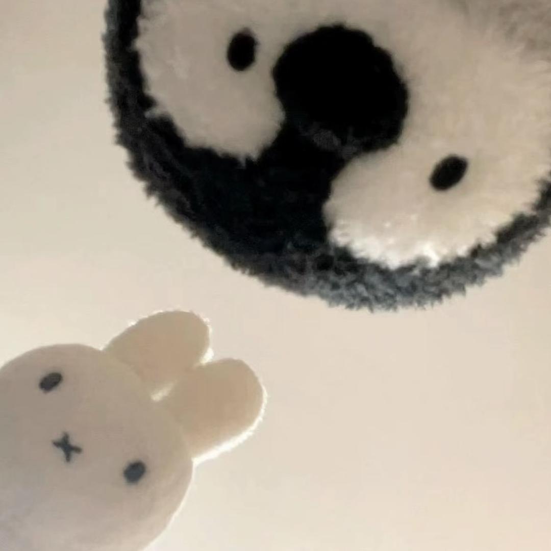 好多个椰子