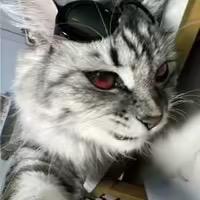 人傻嘴不甜长的安全还没钱.