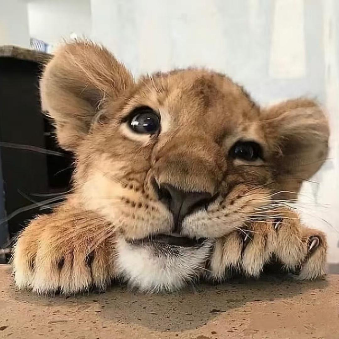 逆