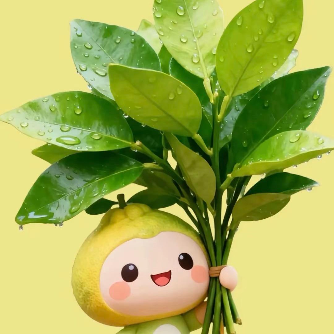 菠萝吹雪🍍