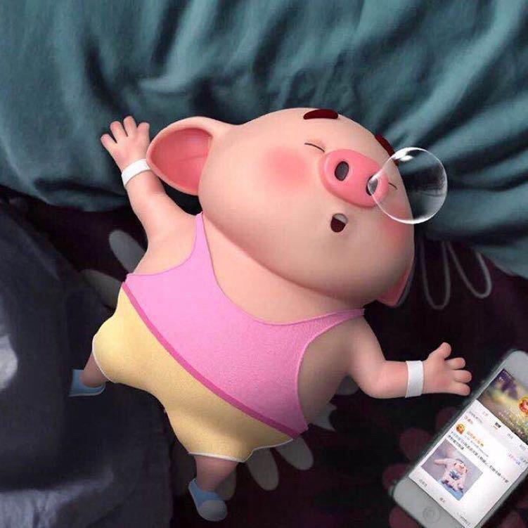 小🐷