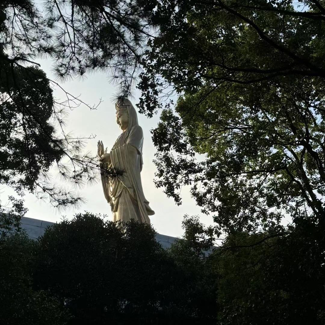 莓超百货中心
