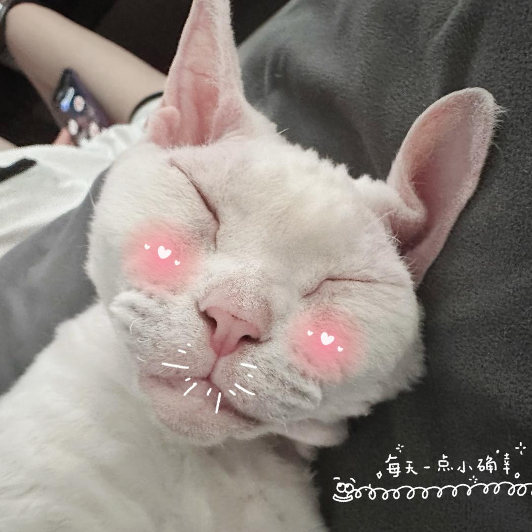 悄悄碎了ʺ̤