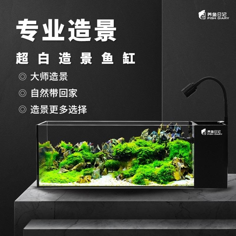 任大侠的聪哥