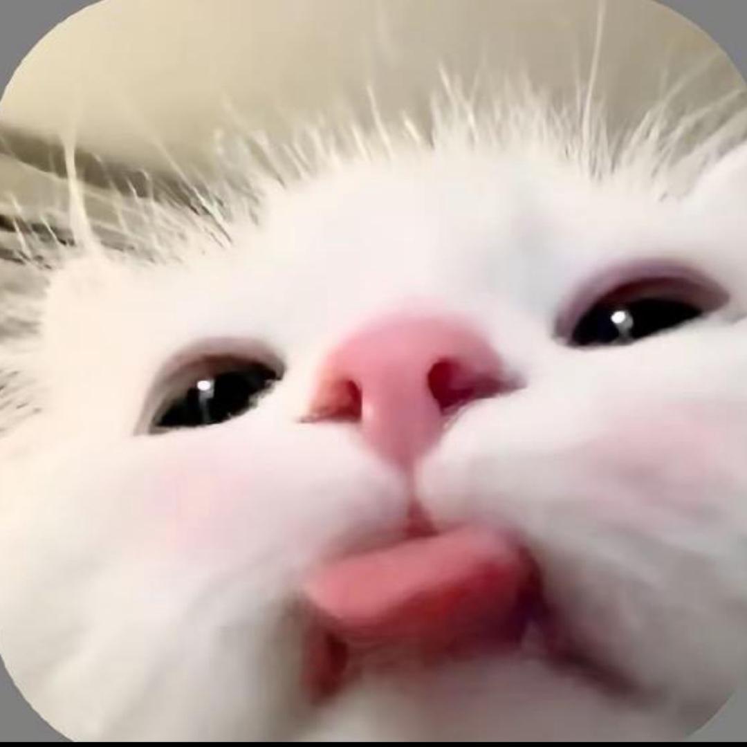你好好看