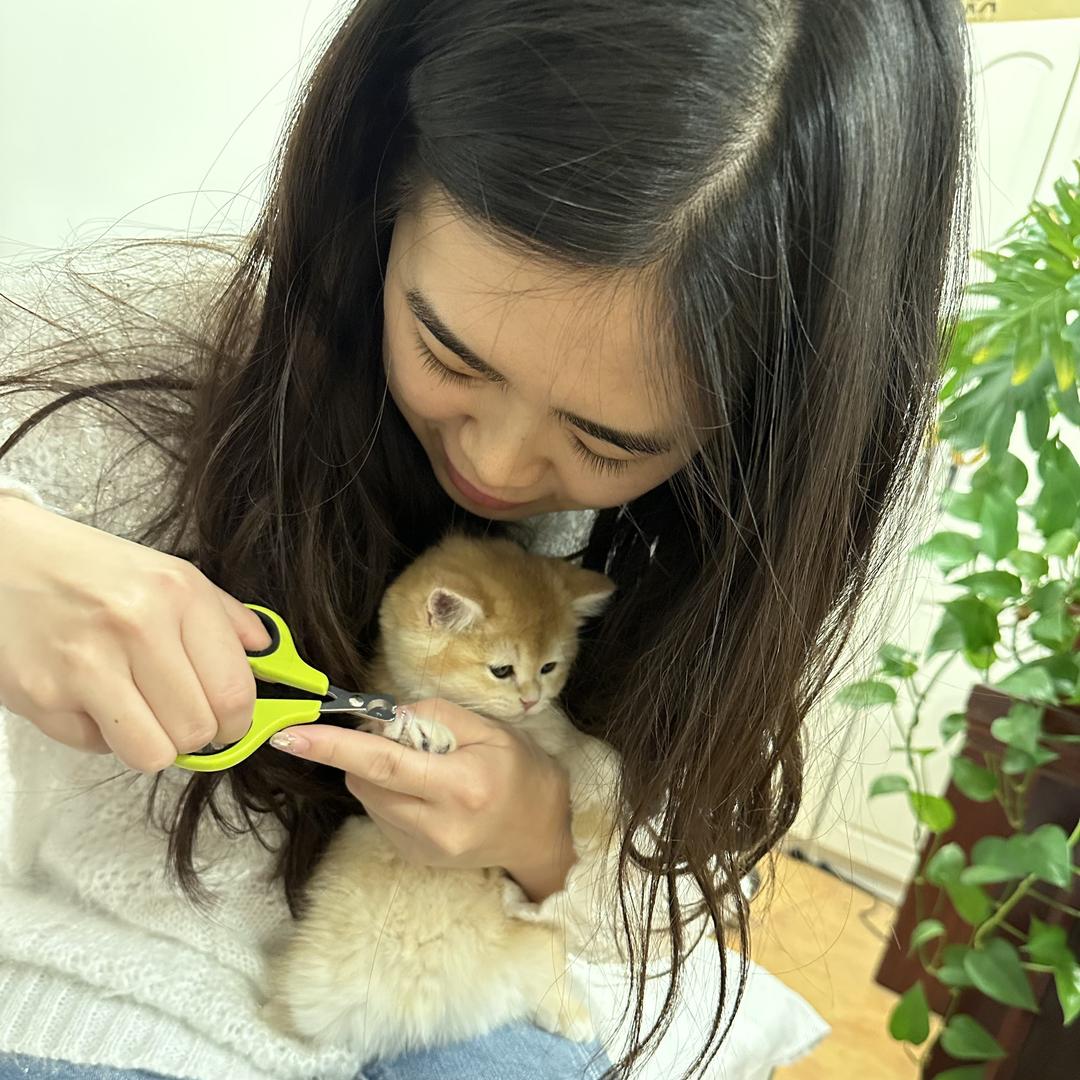 嘻嘻溪