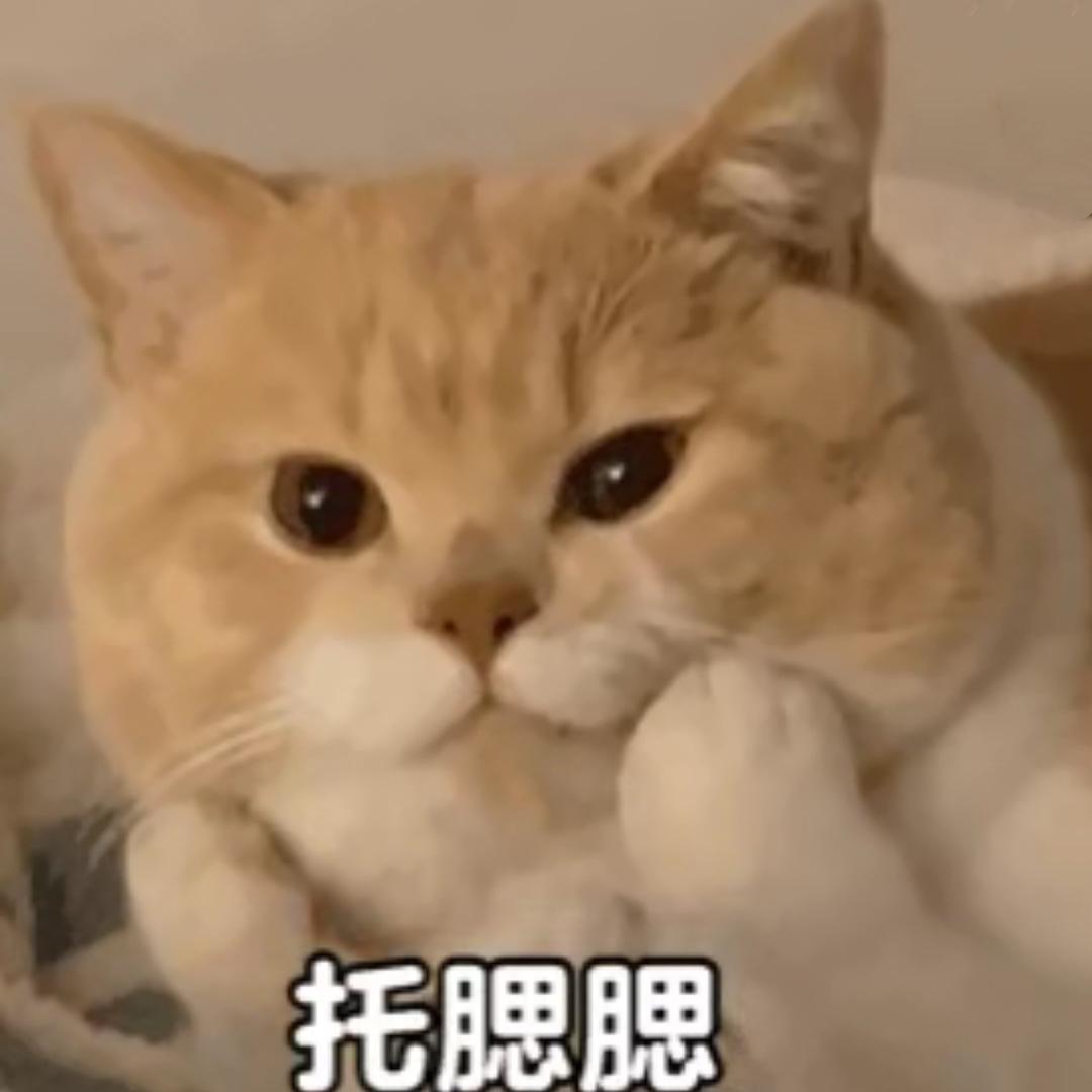 懒阳阳
