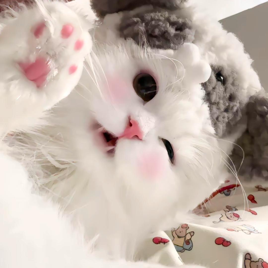 幸福小᳐猫᳐ ੭
