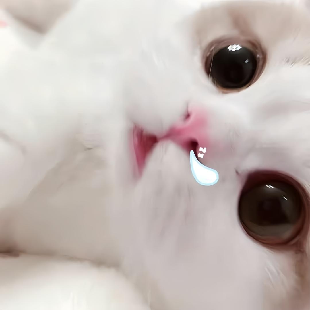 小奶糖⁻
