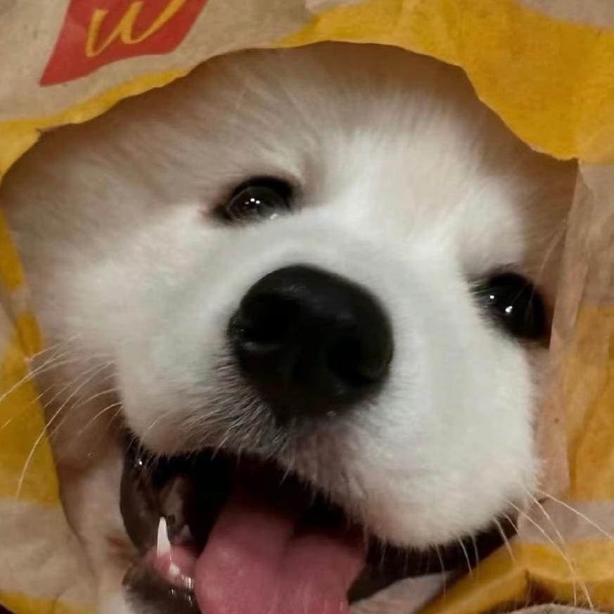戒