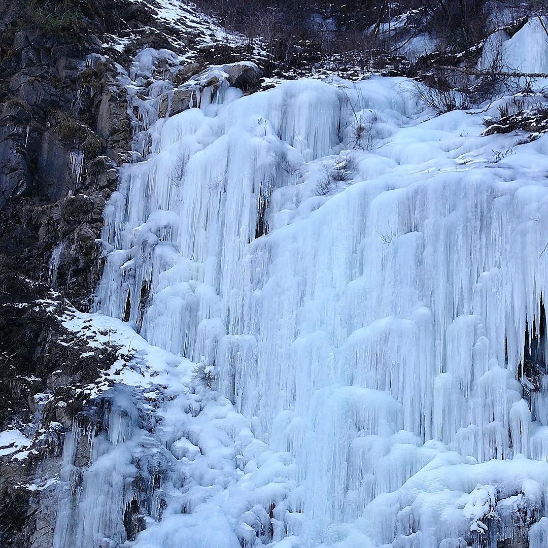 ゆ开心每一天💐