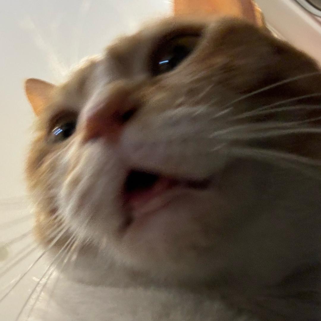 Thomas