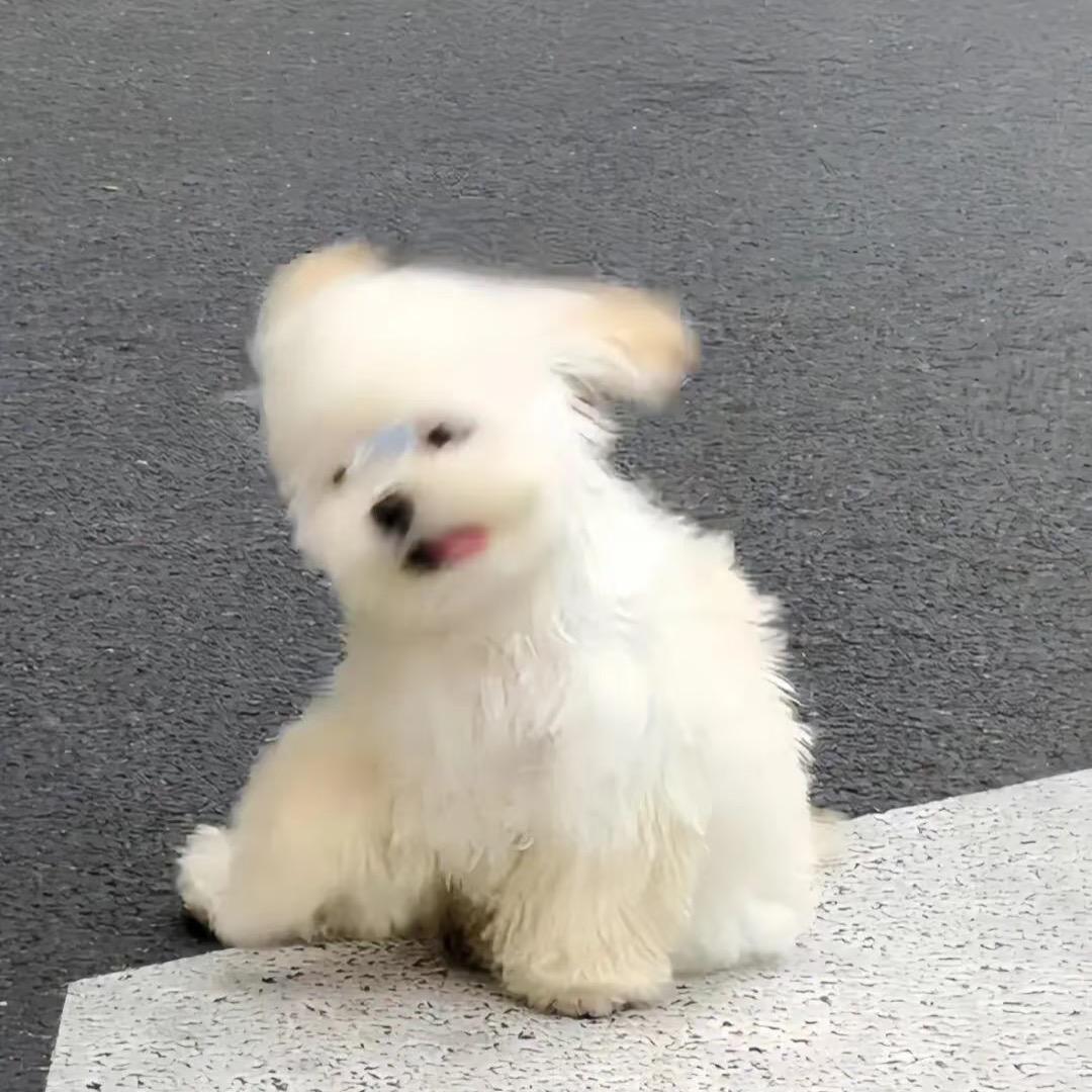 🌟