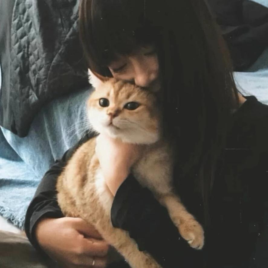 归属.