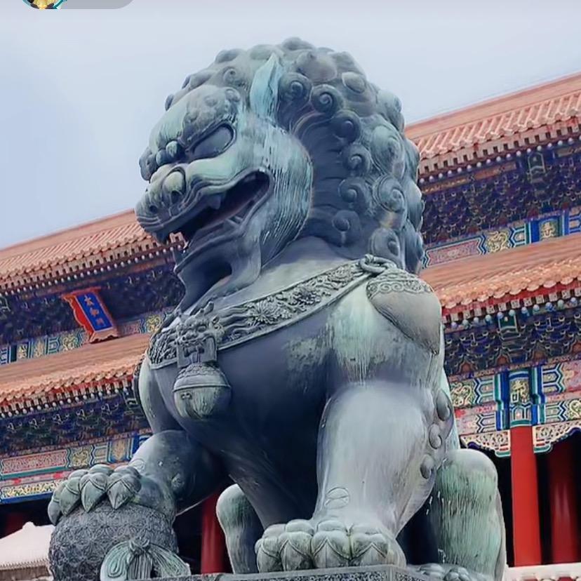 强森2020