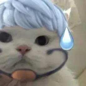 无上
