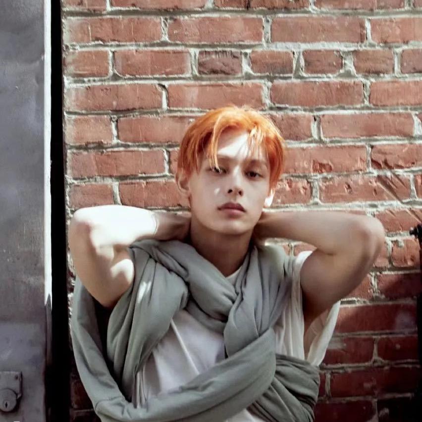 猪王🐷