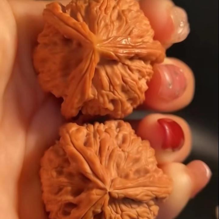 核乐尔不为（¥）