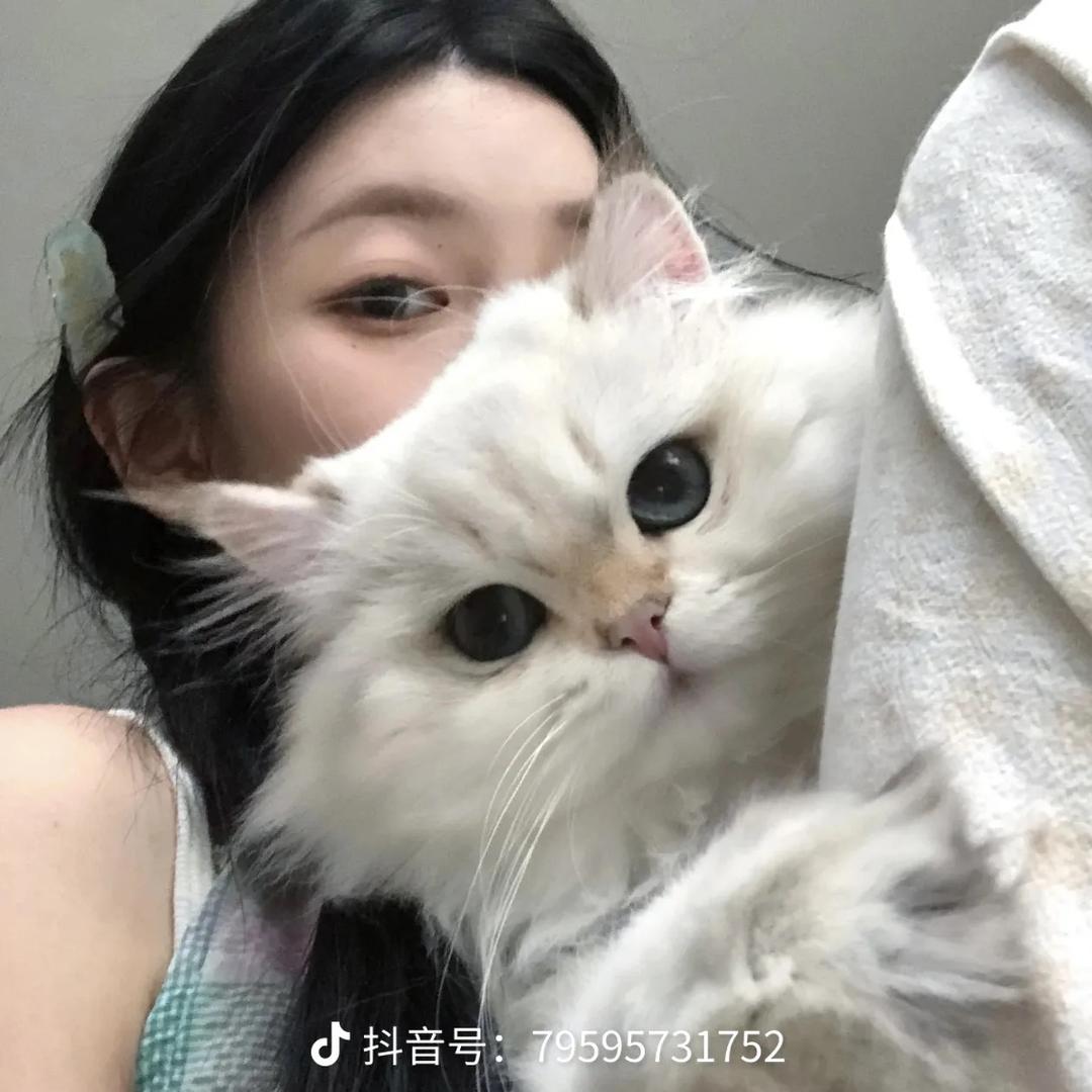 小雪的种草集❄️