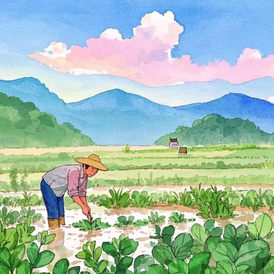 小书种植