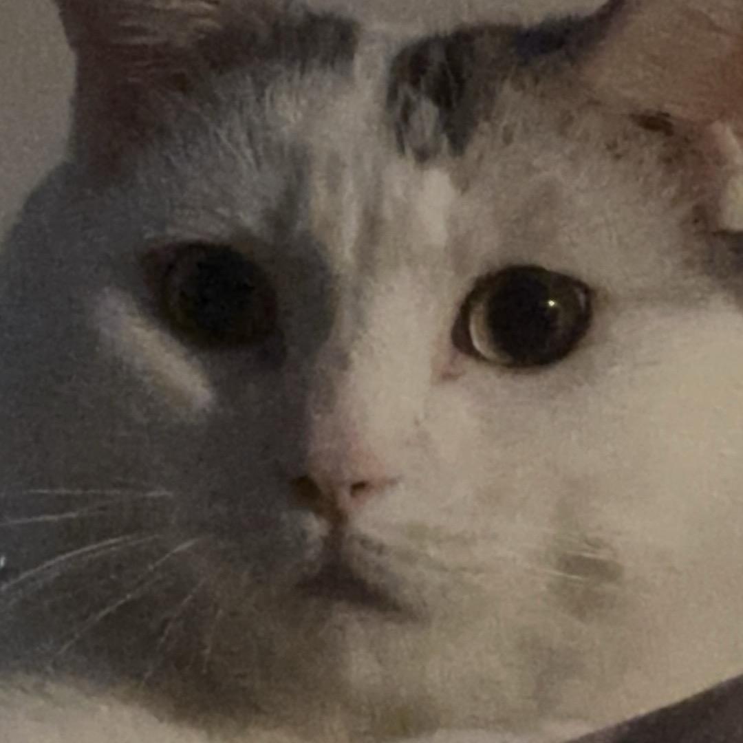 小弘寶<(≧∇≦)>